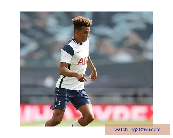 汉堡求续租武什科维奇热刺召回