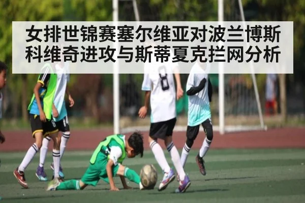 女排世锦赛塞尔维亚对波兰博斯科维奇进攻与斯蒂夏克拦网分析 | NG28